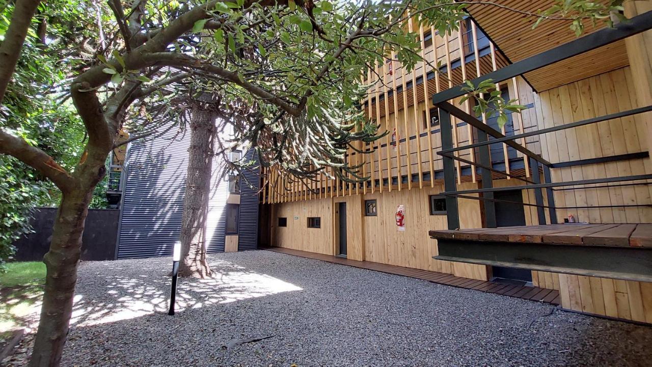 Apartamento Hermoso Y Calido Departamento En El Centro De Sma, 21v5